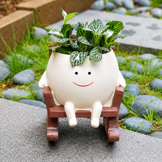 The Rocky Pot
